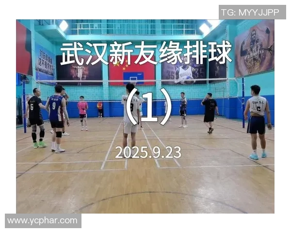 成都排球队在全国排球意识排行榜中荣登第五名展现实力与潜力