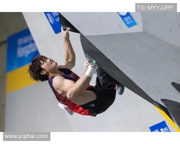 攀岩个人能力排行榜揭晓上海攀岩队荣登第十名展现实力与潜力