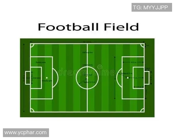 武汉足球队控制体系解析：战术运用与场上表现的深度剖析