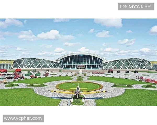 西安乒乓球队的辉煌征程与突破成就全景回顾