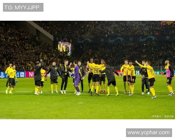 多特蒙德与不来梅精彩对决视频回顾及赛后分析