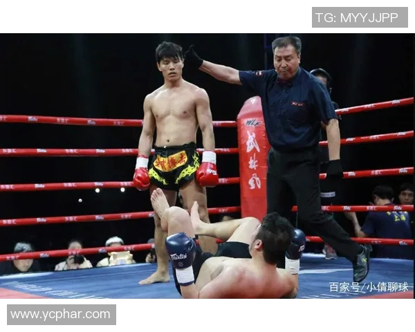 武林风一龙挑战韩国选手展现中国武术魅力与实力的巅峰对决