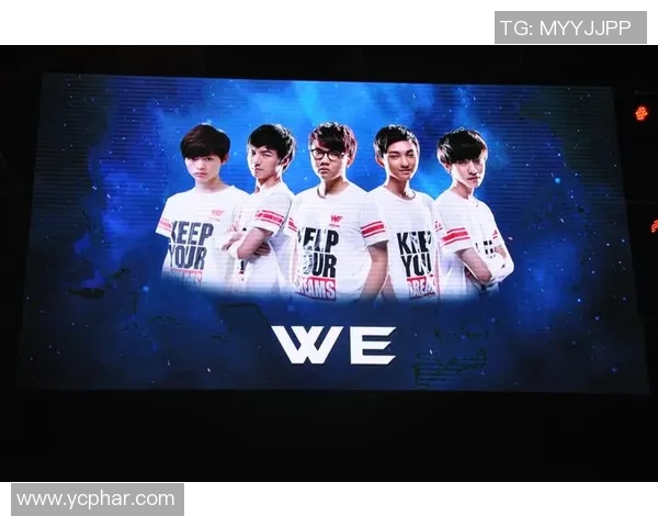 英雄联盟深度解析：揭开WE战队技术背后的秘密与策略