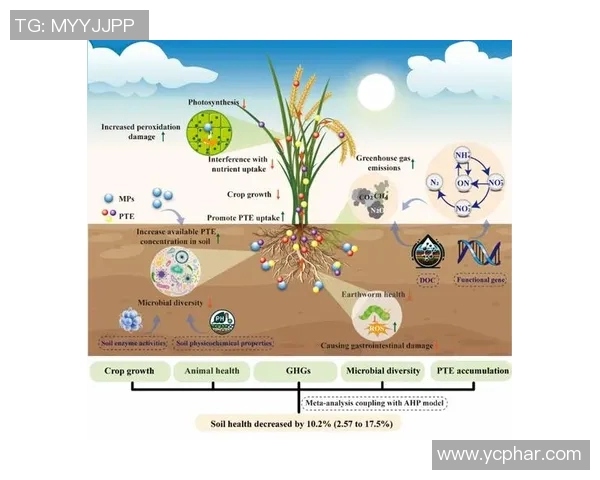 RNG快攻策略的成败分析与未来展望探讨